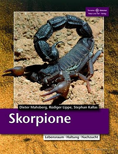 Was mögen Skorpione gar nicht? Die Geheimnisse hinter ihren Abneigungen