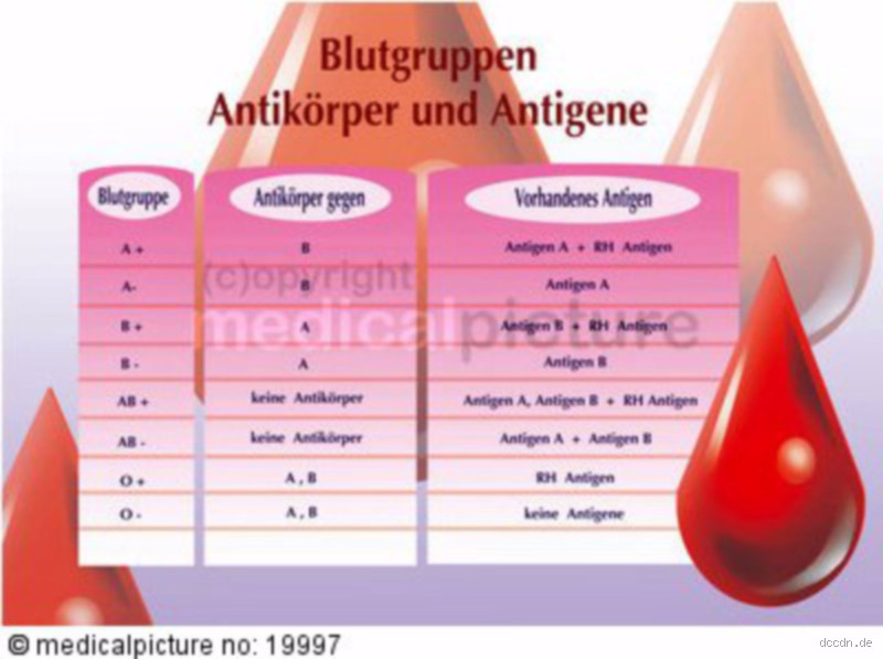 Welche Blutgruppe hat süßes Blut? (Die überraschende Wahrheit!)