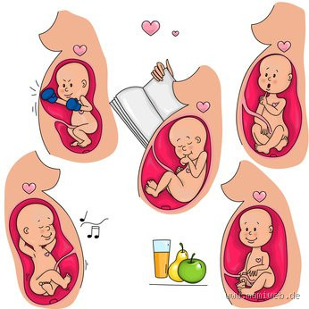 Welches Geschlecht ist aktiver im Bauch? Die Bewegungen des Babys