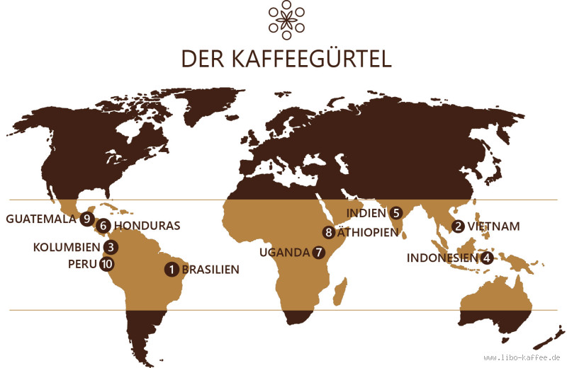 Welches Land mag Kaffee am liebsten? Die Welt des Kaffeekonsums