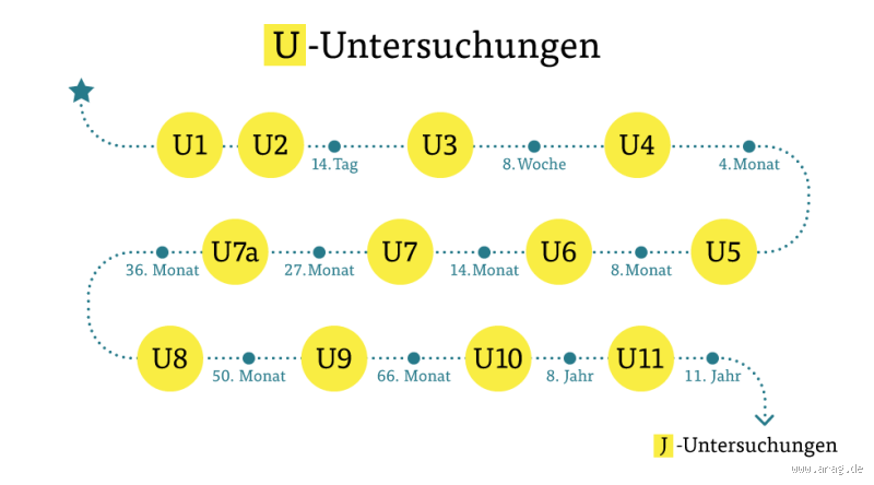 Wer muss U1 und U2 zahlen? Alles, was du wissen musst