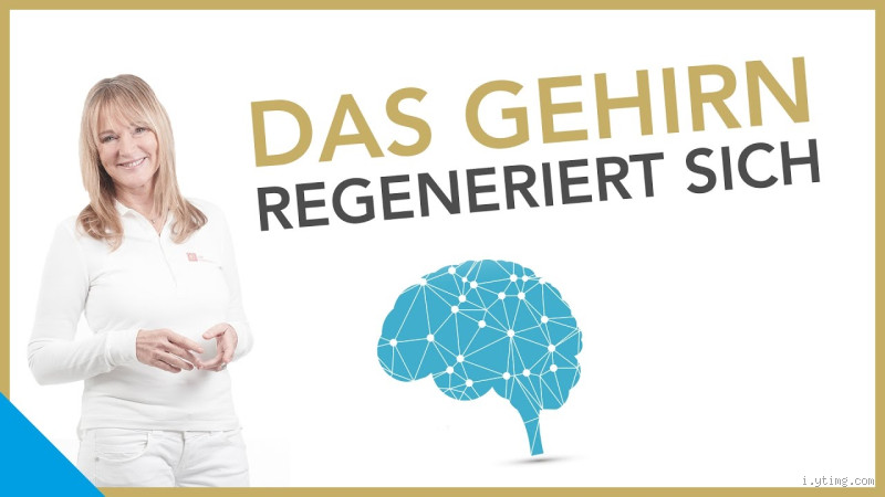Wie schnell regeneriert sich das Gehirn? Entdecke die erstaunliche Fähigkeit zur Heilung
