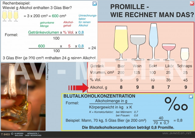 Wie viel Promille bis Blackout? Was Du wirklich wissen musst