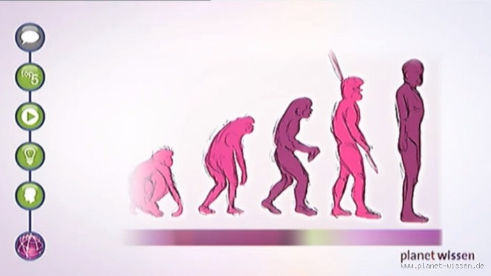Wie viele Vorfahren hat der Mensch? Eine faszinierende Entdeckungsreise