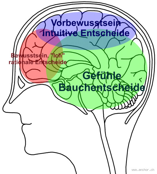 Wo liegt Denken? Die faszinierende Reise ins Gehirn