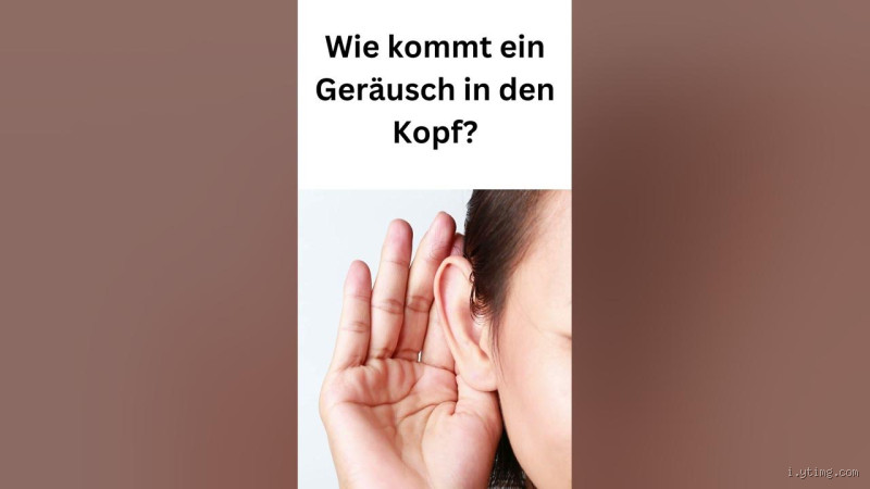 Woher kommt das Geräusch?